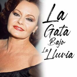 Album cover of La Gata Bajo La Lluvia