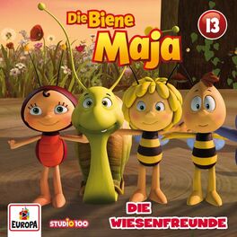 Album cover of 13/Die Wiesenfreunde (CGI)