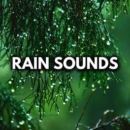 Album cover of Steady Rain No Breaks (Loop Any Track, No Fade)