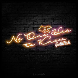 Album cover of No One Has To Know