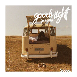Album cover of Goodnight (Virtual Youth Remix)