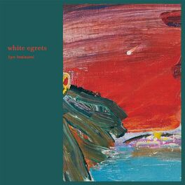 Album cover of white egrets