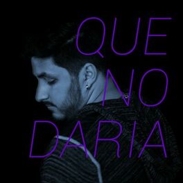 Album cover of Que No Daria