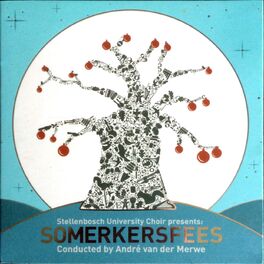 Album cover of Somerkersfees