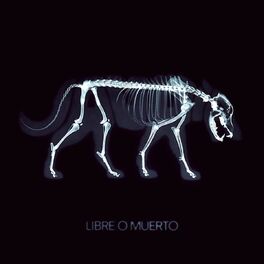Album cover of Libre o Muerto