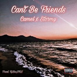 Album cover of Can't Be Friends