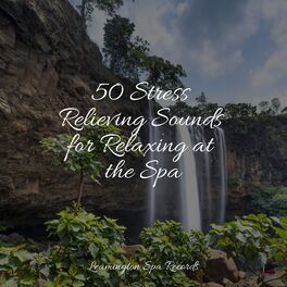 Album cover of 50 Stress Relieving Sounds for Relaxing at the Spa