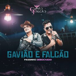 Album cover of Passinho Debochado