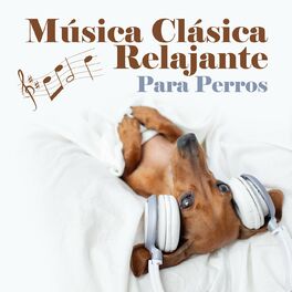 Album cover of Música Clásica Relajante Para Perros