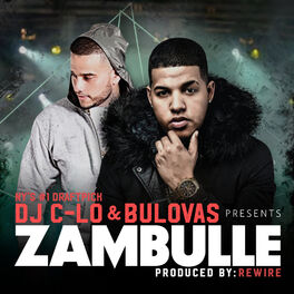 Album cover of Zambulle