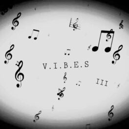Album cover of V.I.B.E.S III