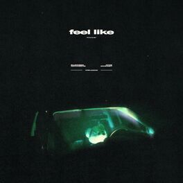 Album cover of Feel Like