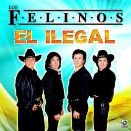 Los Felinos - El Ilegal: letras y canciones | Escúchalas en Deezer