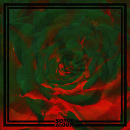 Album cover of Sonic Bloom