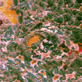 Album cover of Sugar Blind EP