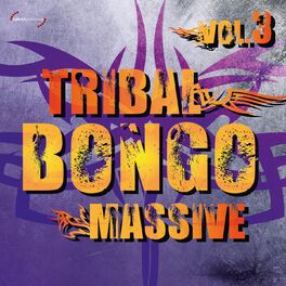 Album cover of Tribal Bongo Massive, Vol. 3