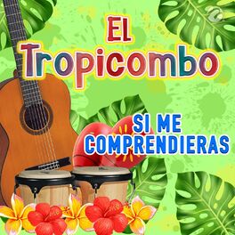 Album cover of Si Me Comprendieras