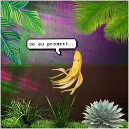 Album cover of Se Eu Prometi...