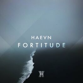 Album cover of Fortitude