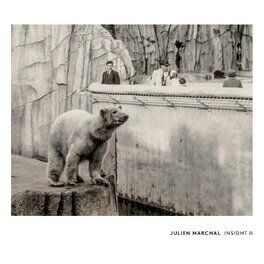 Album cover of INSIGHT II