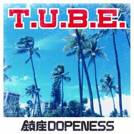 Album cover of T.U.B.E.