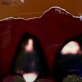 Album cover of AWAKE