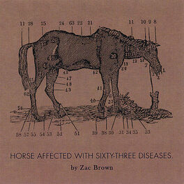 Album cover of Ride The Sick Horse