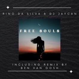 Album cover of Free Souls