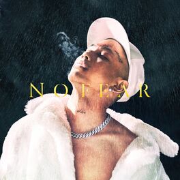 Album cover of NO FEAR (DELUXE)
