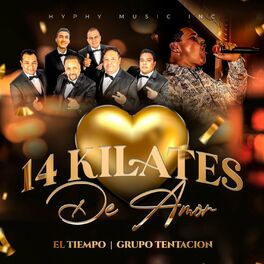 Album cover of 14 Kilates de Amor