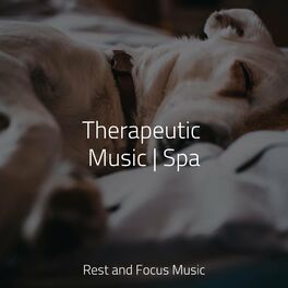 Album cover of Therapeutic Music | Spa