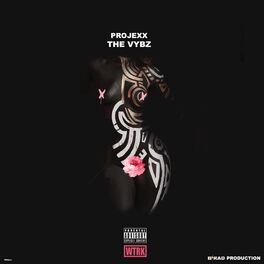 Album cover of The Vybz - Single