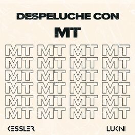 Album cover of Despeluche con MT (Remix)