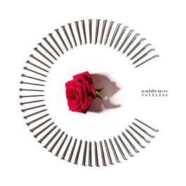 Album cover of FATELESS