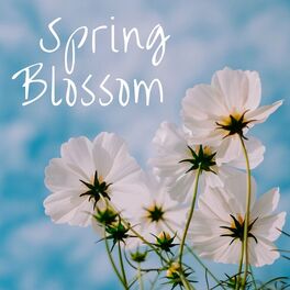 Album cover of Spring Blossom