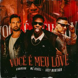 Album cover of Você É Meu Love