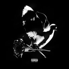 Album cover of Çekmeköy Freestyle (feat. ElMusto, Shurado & CNR)