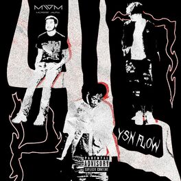 Album cover of 4L (feat. YSN Flow)