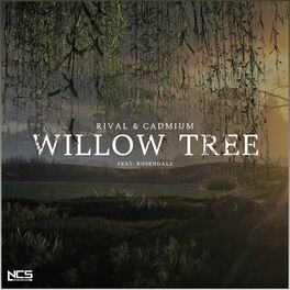 Album cover of Willow Tree