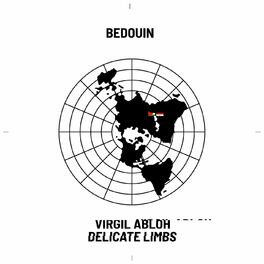 Album cover of Delicate Limbs (feat. serpentwithfeet) (Bedouin Remix)