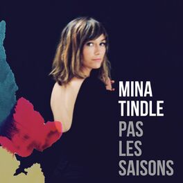 Album cover of Pas les saisons (Skydancers Remix)