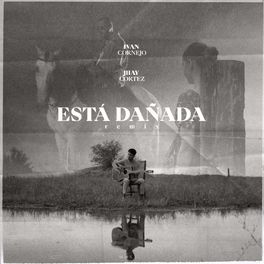 Album cover of Está Dañada (Remix)