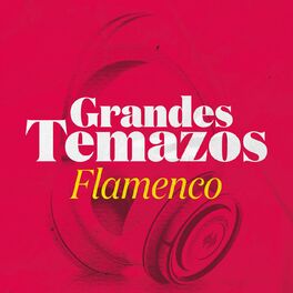 Album cover of Grandes Temazos: Flamenco