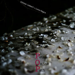 Album cover of Petals on the Path