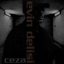 Album cover of Evin Delisi