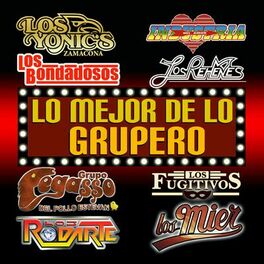 Album cover of Lo Mejor De Lo Grupero