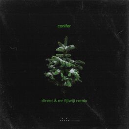 Album cover of Conifer