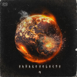 Album cover of Savage Selects, Vol. 4