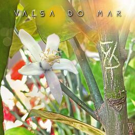 Album cover of Valsa do Mar