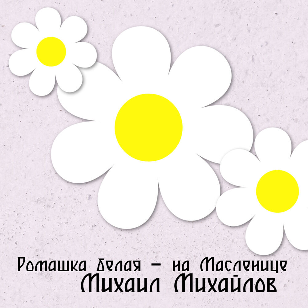 Белые ромашки с нашей улицы кто